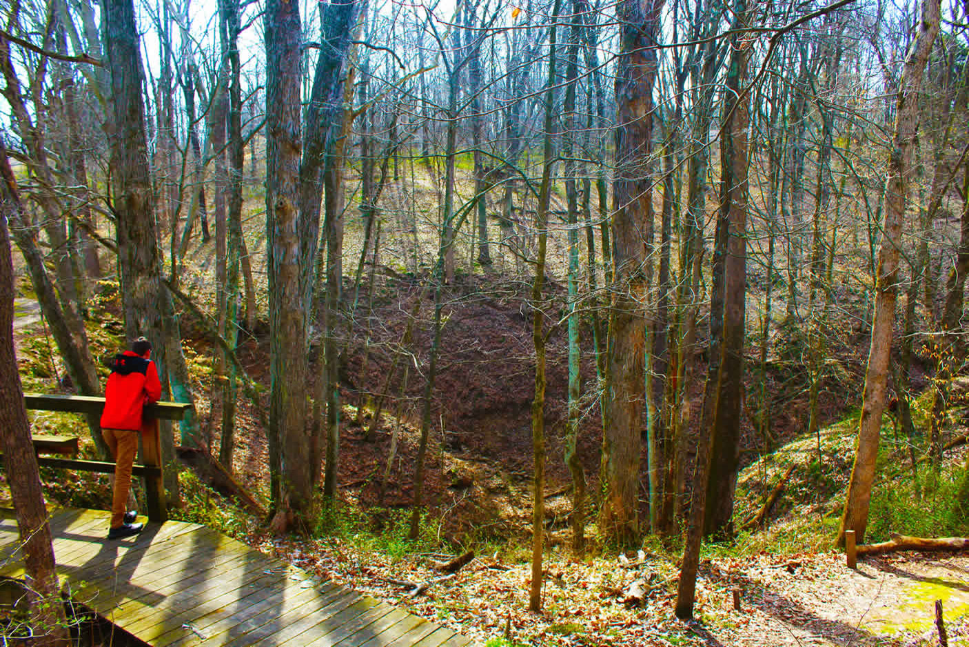 Natural Area trail
