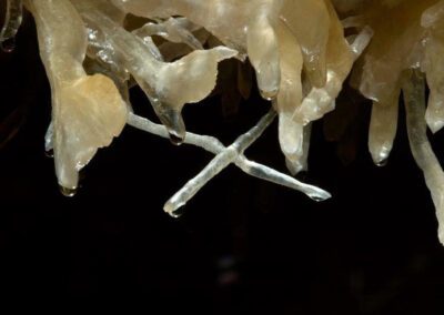 crystals in Caverns of Sonora, TX