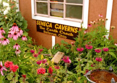 flowers with cave sign